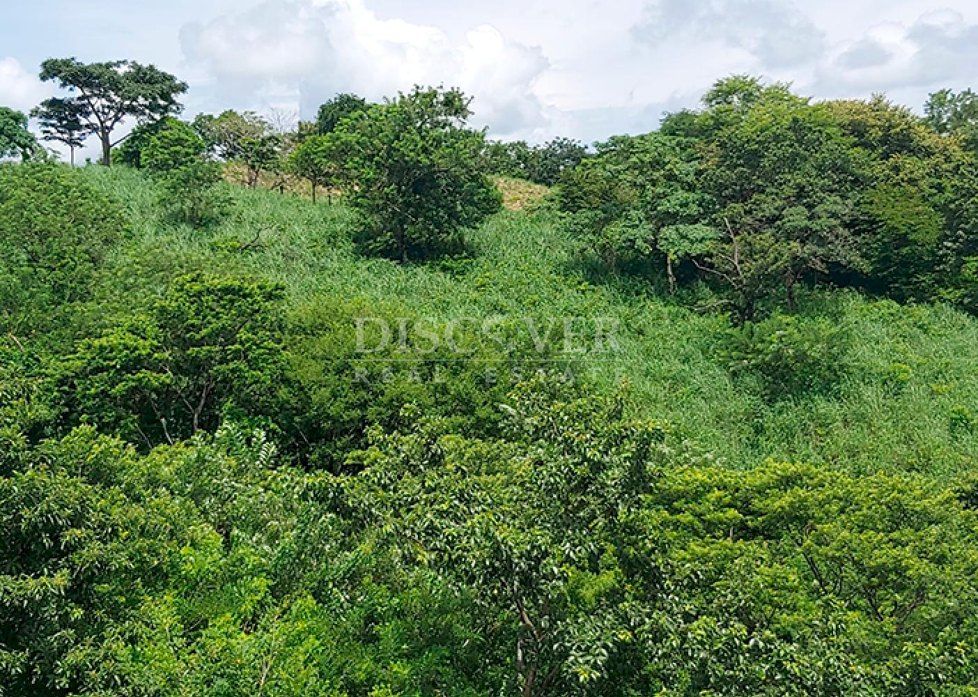 Land for sale in Rivas on the main road