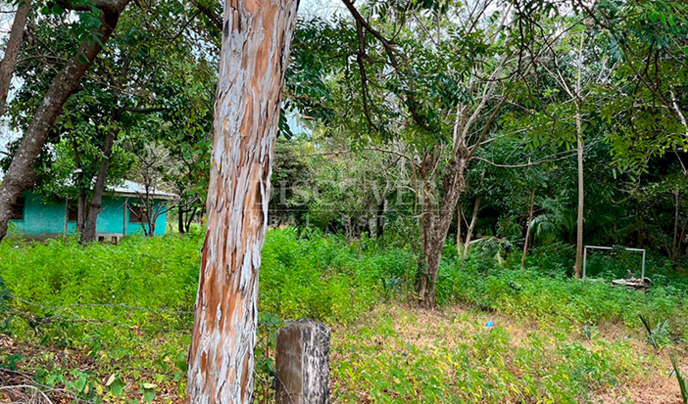 Large plot of land for sale in Rivas