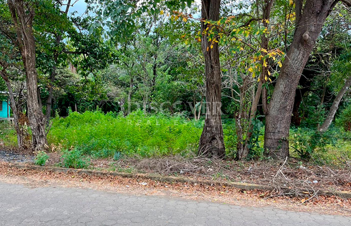 Large plot of land for sale in Rivas