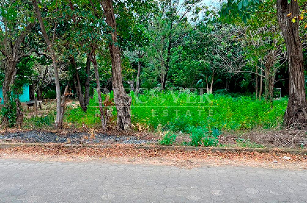 Large plot of land for sale in Rivas