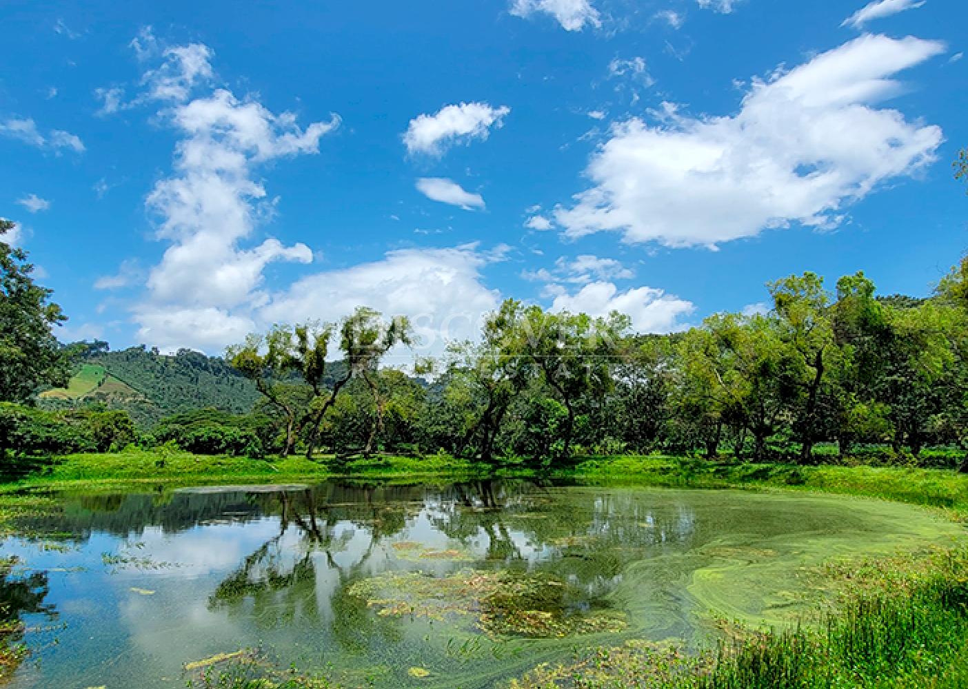  Agricultural land for sale in Jinotega