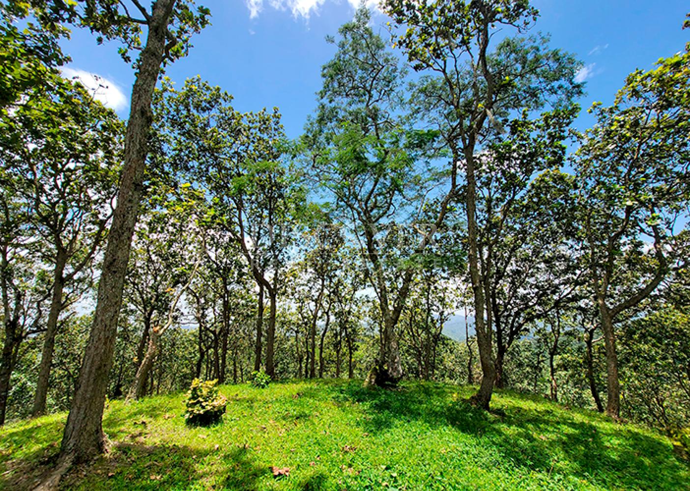  Agricultural land for sale in Jinotega