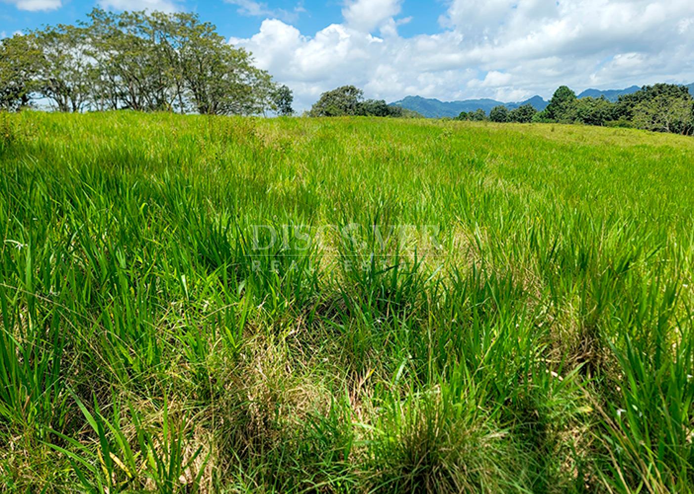  Agricultural land for sale in Jinotega