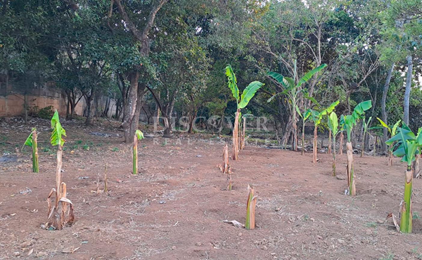 Land for sale opposite the Masaya-Granada highway 