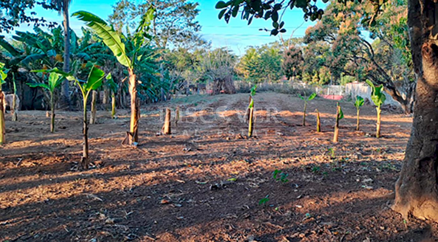 Land for sale opposite the Masaya-Granada highway 