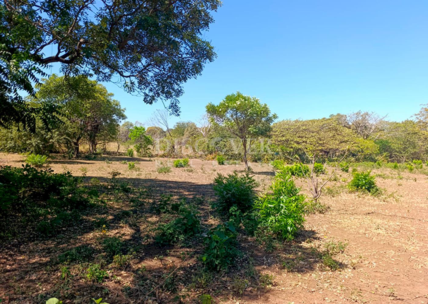  Land for sale opposite the Old Road to León