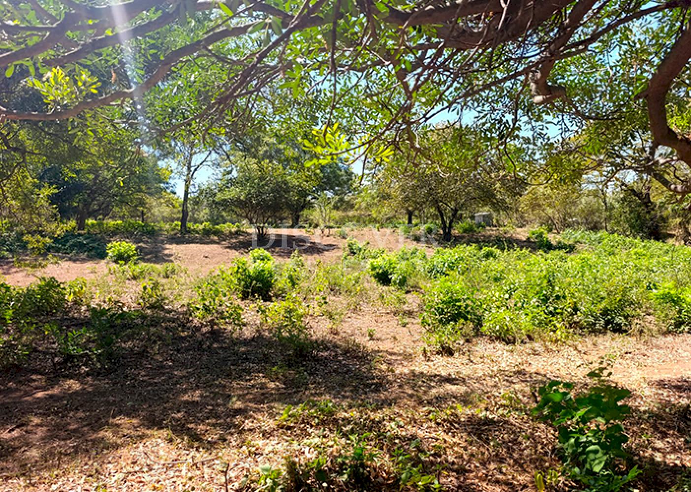  Land for sale opposite the Old Road to León