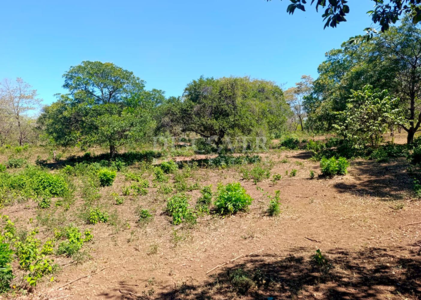  Land for sale opposite the Old Road to León