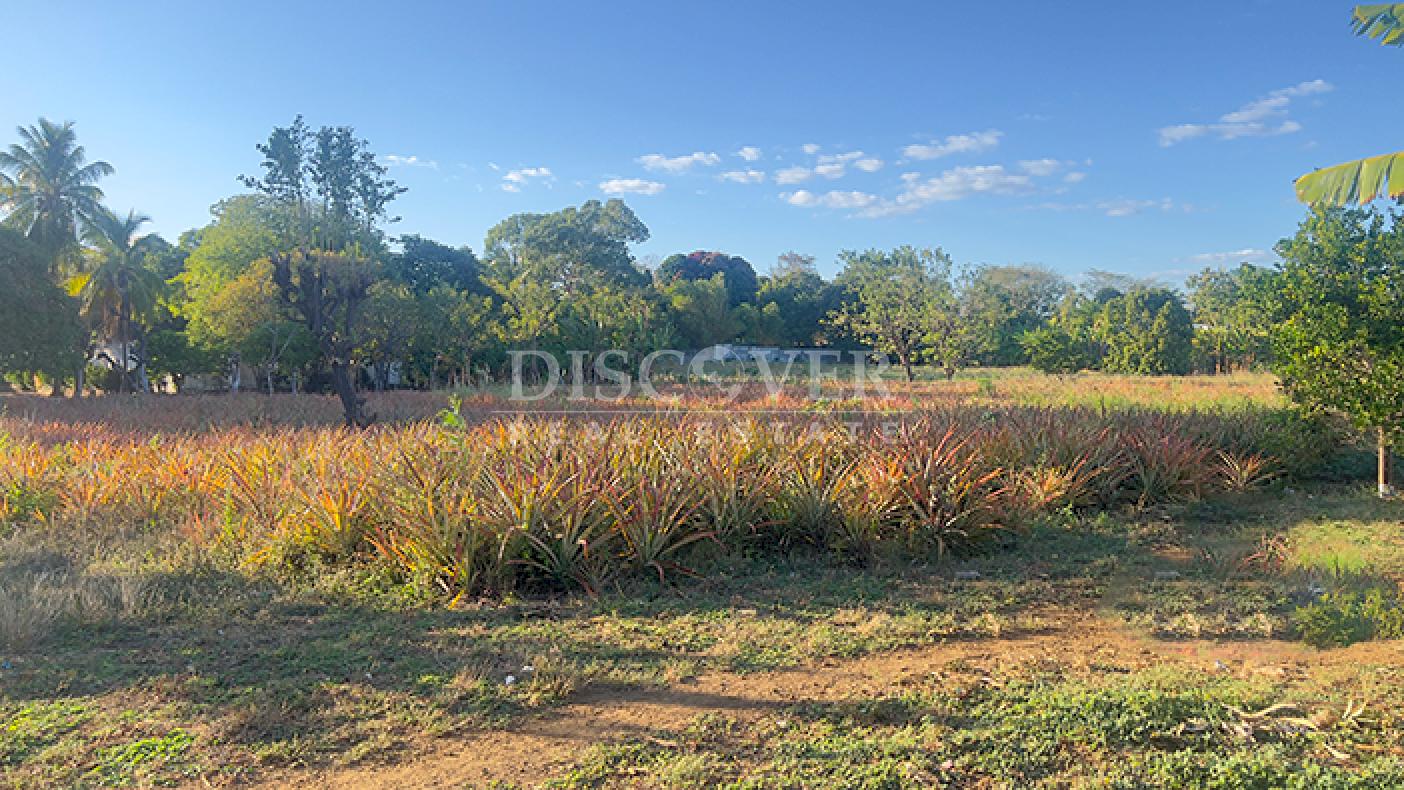  Land for sale on the road to Masaya