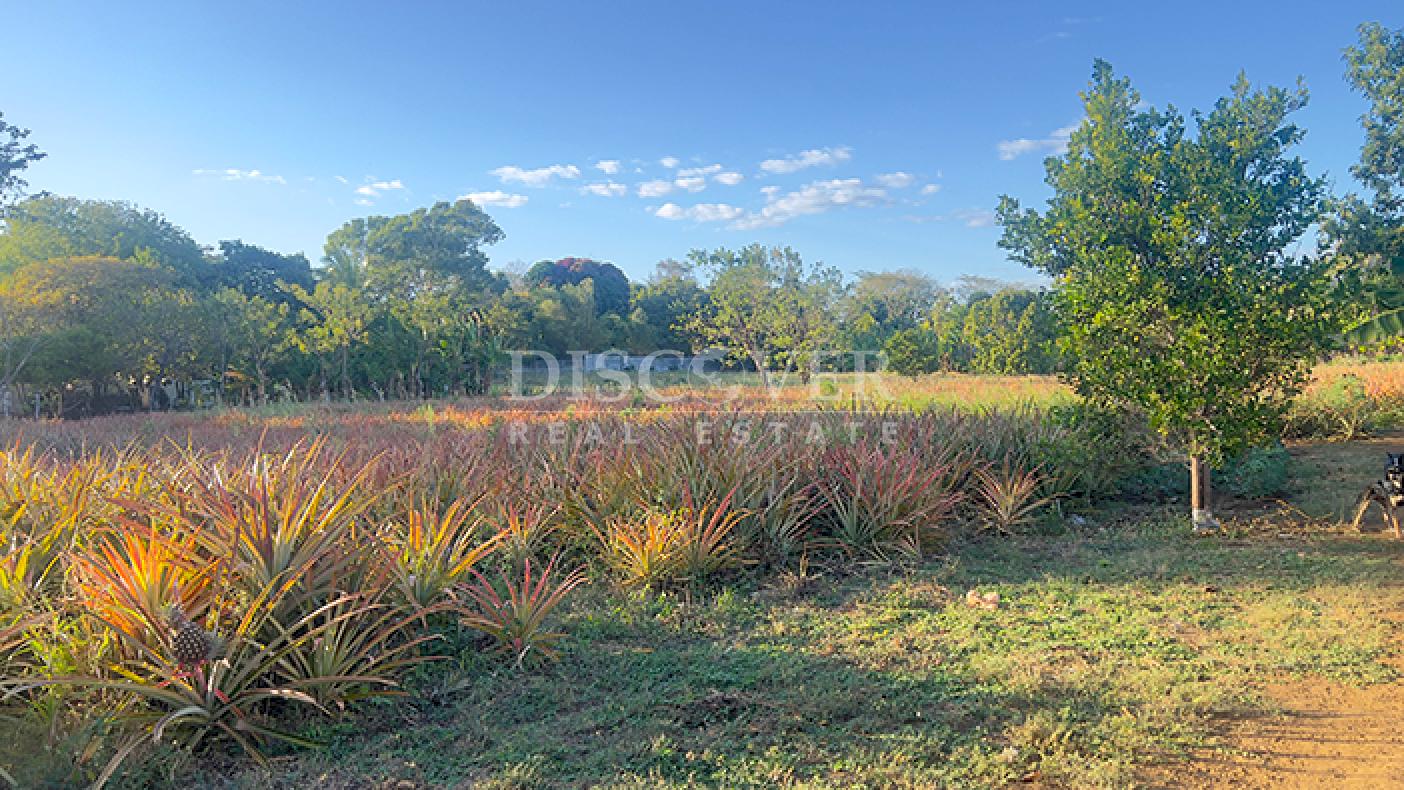  Land for sale on the road to Masaya