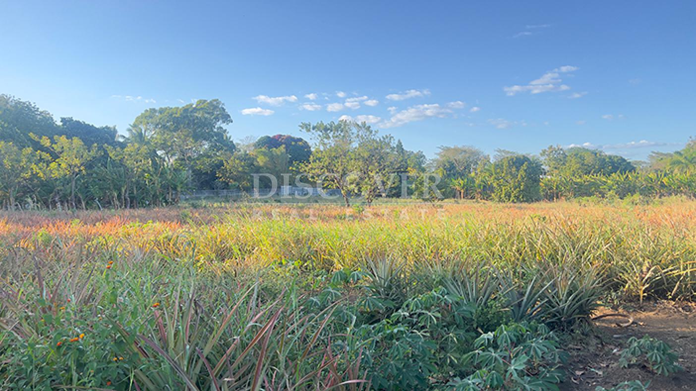  Land for sale on the road to Masaya