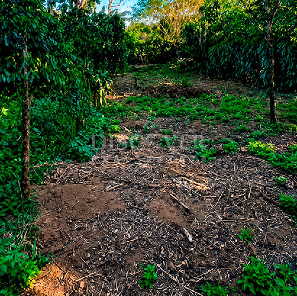  Land for sale in San Marcos