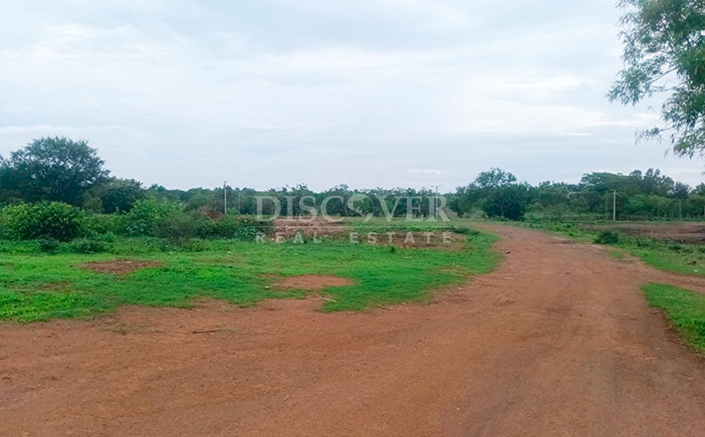 Land for sale in Pista Sabana Grande
