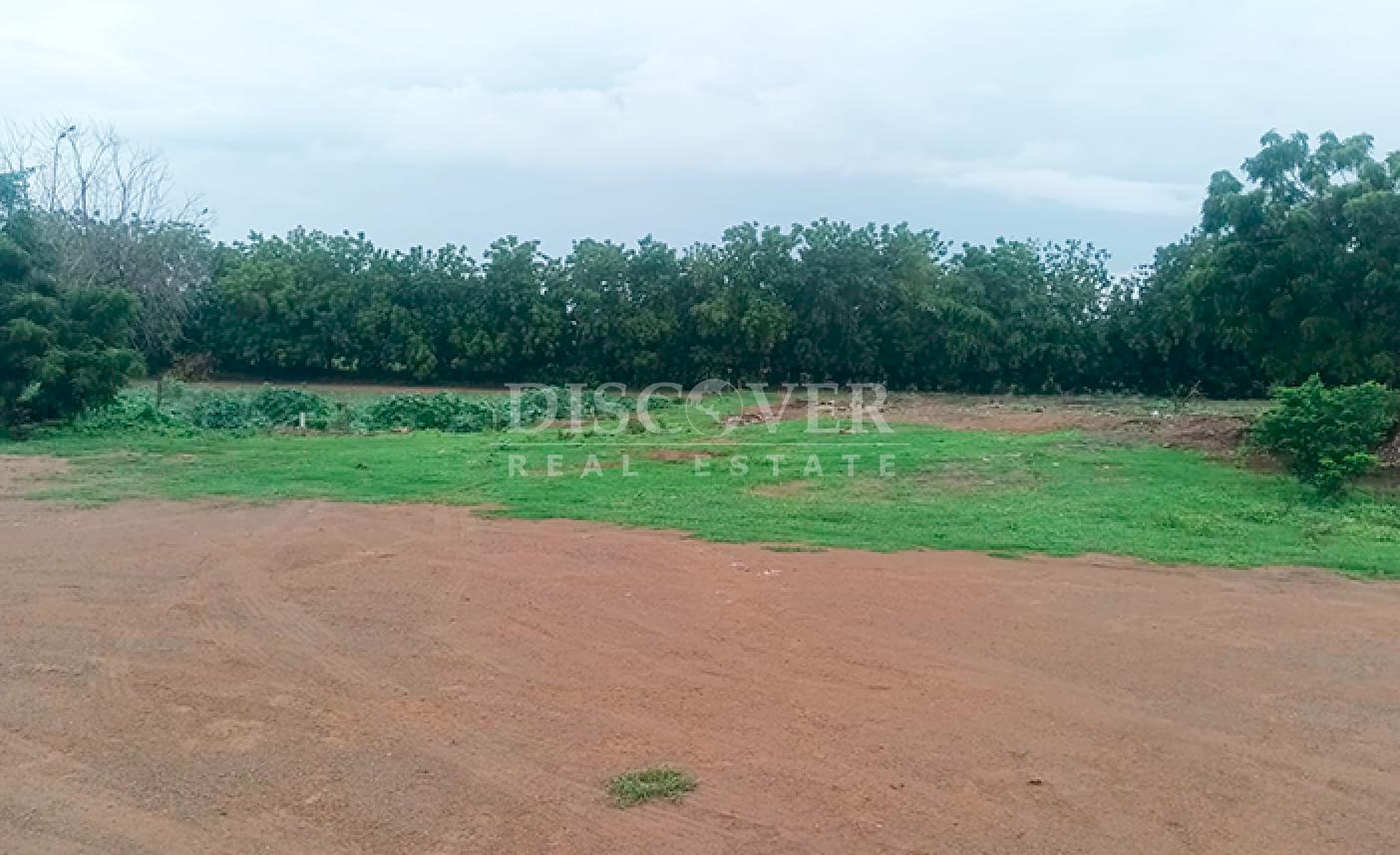 Land for sale in Pista Sabana Grande