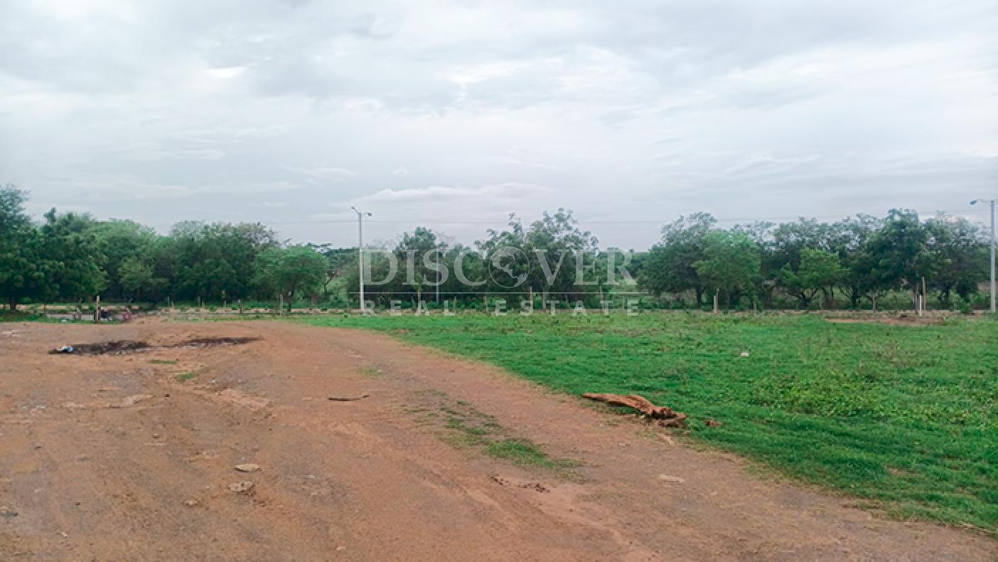 Land for sale in Pista Sabana Grande