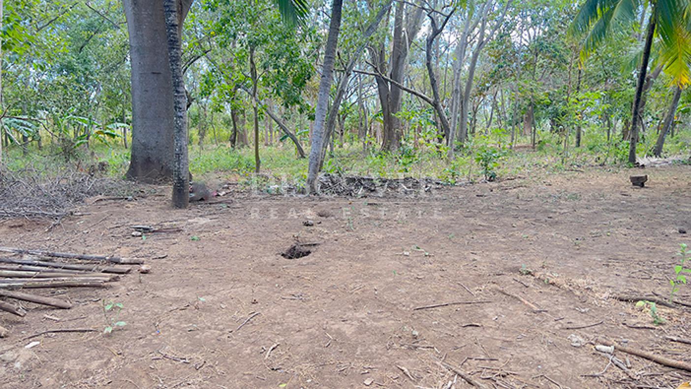 Land for sale in Diriá with high investment potential