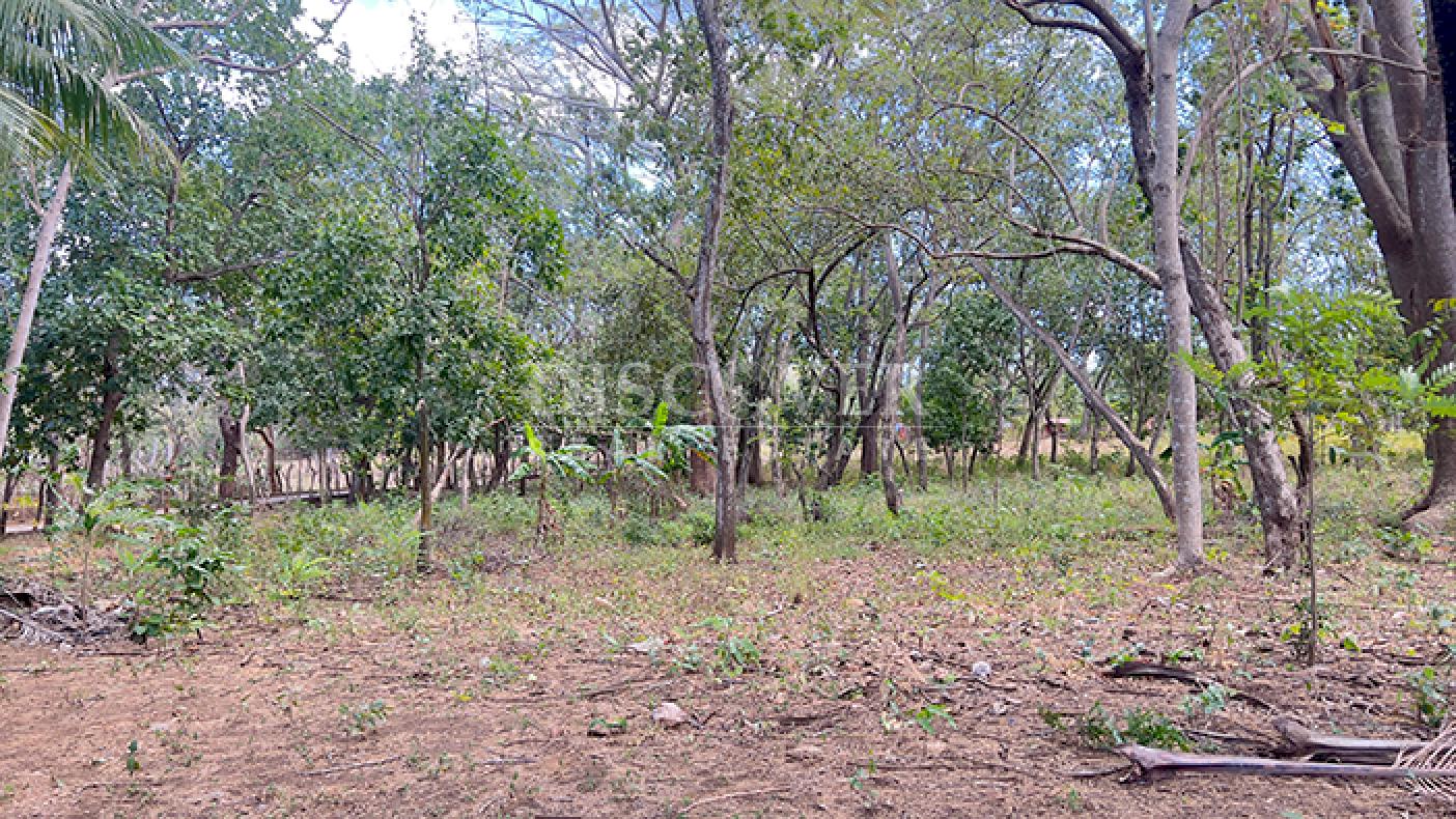 Land for sale in Diriá with high investment potential