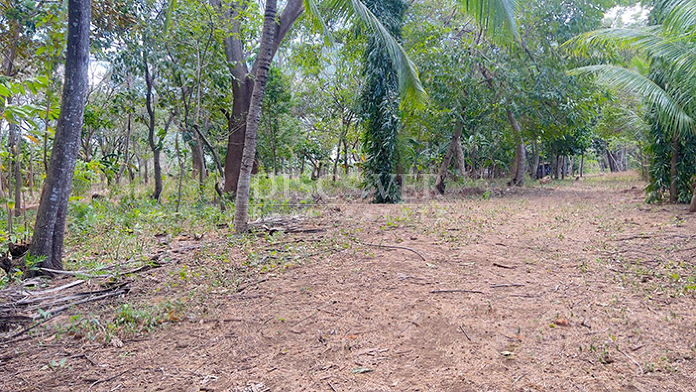 Land for sale in Diriá with high investment potential