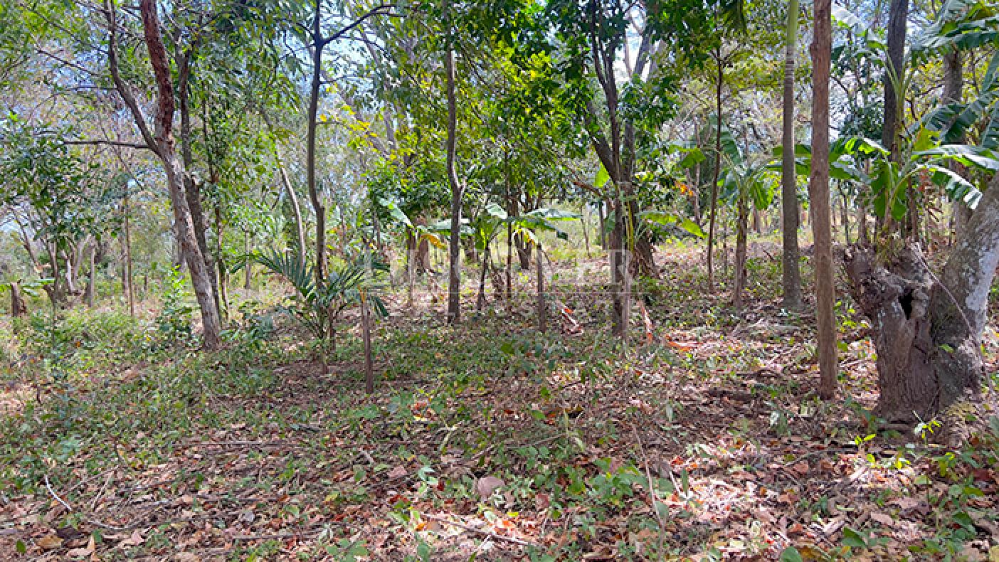 Land for sale in Diriá with high investment potential