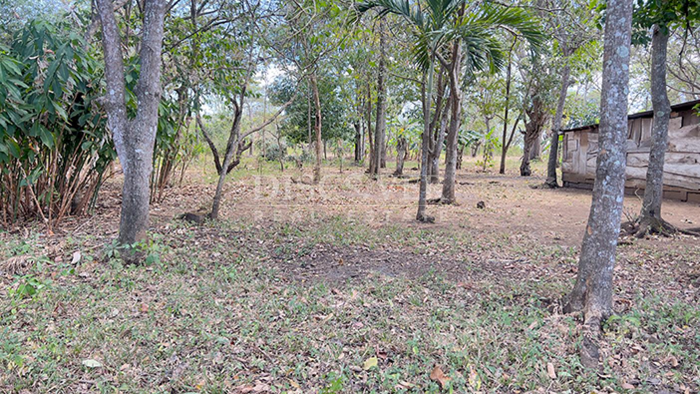 Land for sale in Diriá with high investment potential