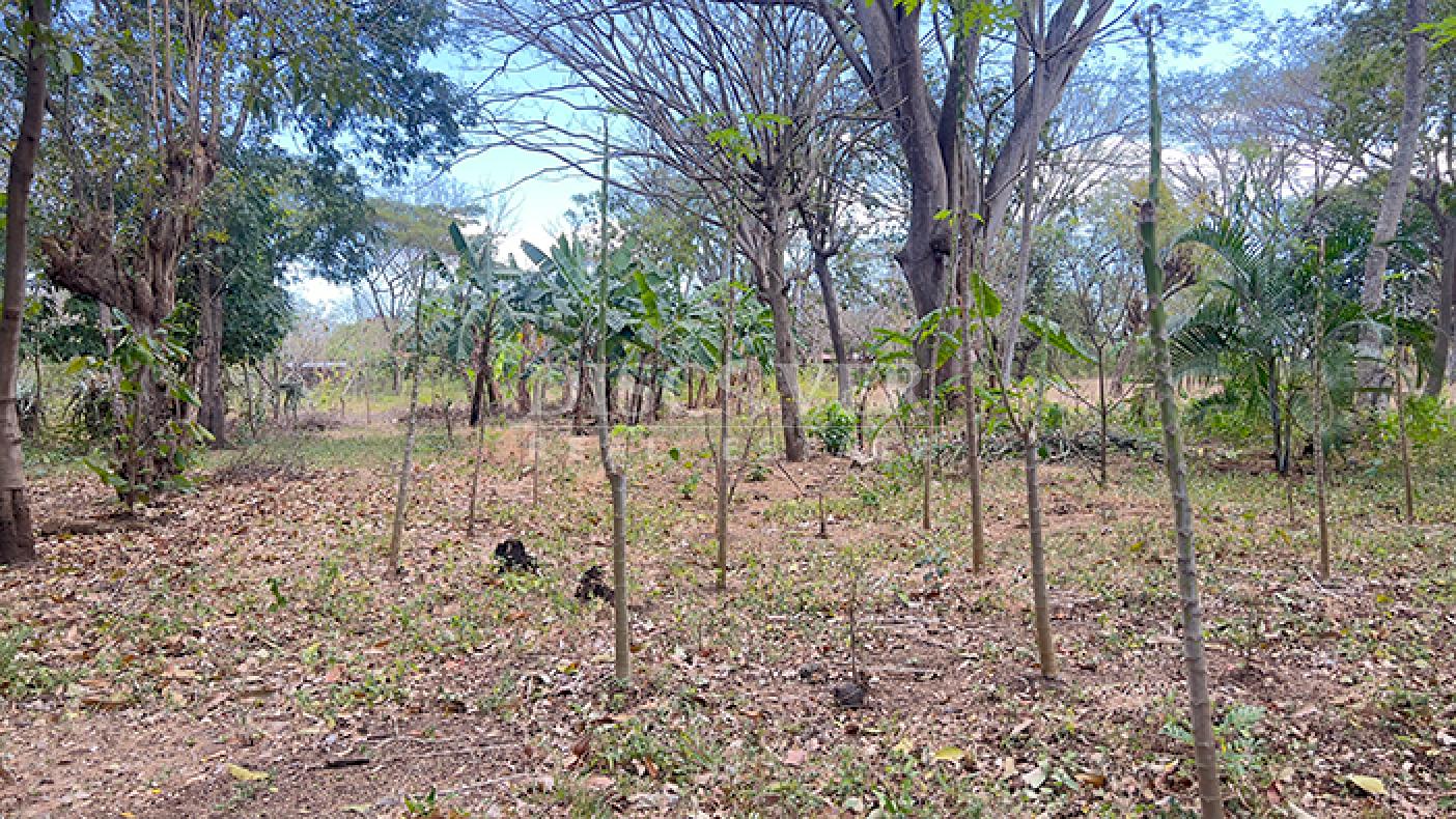 Land for sale in Diriá with high investment potential