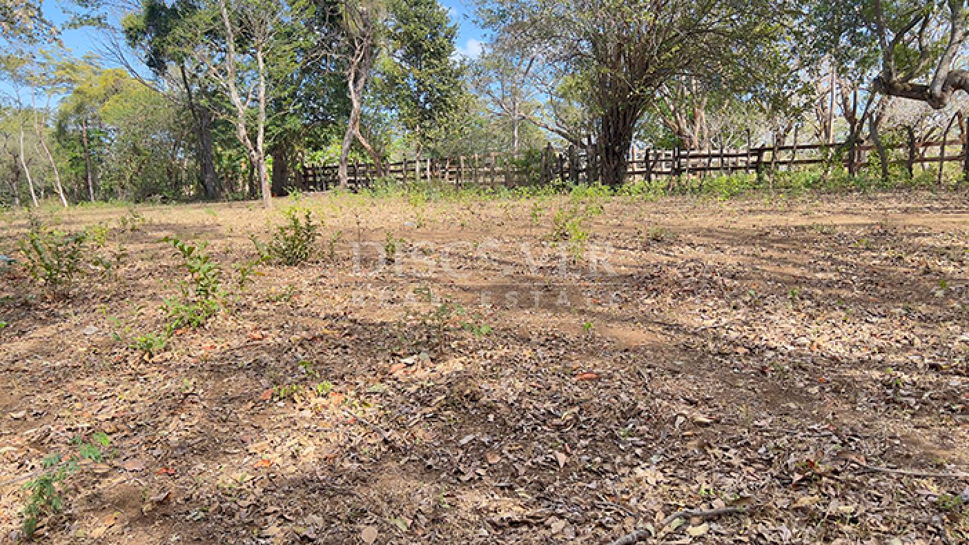 Flat land for sale in Diriá