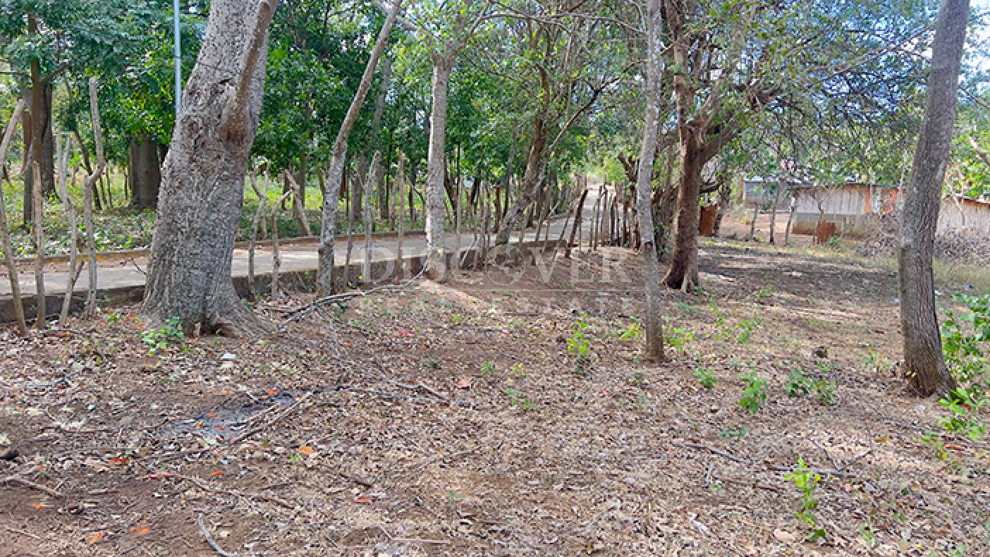 Flat land for sale in Diriá