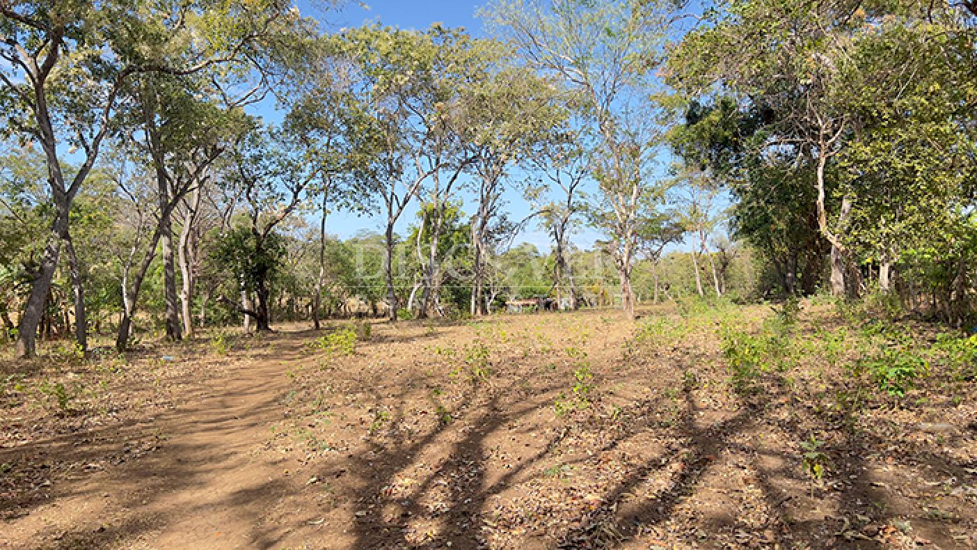 Flat land for sale in Diriá