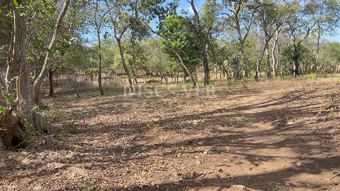 Flat land for sale in Diriá