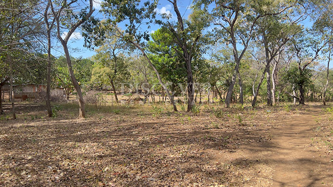 Flat land for sale in Diriá