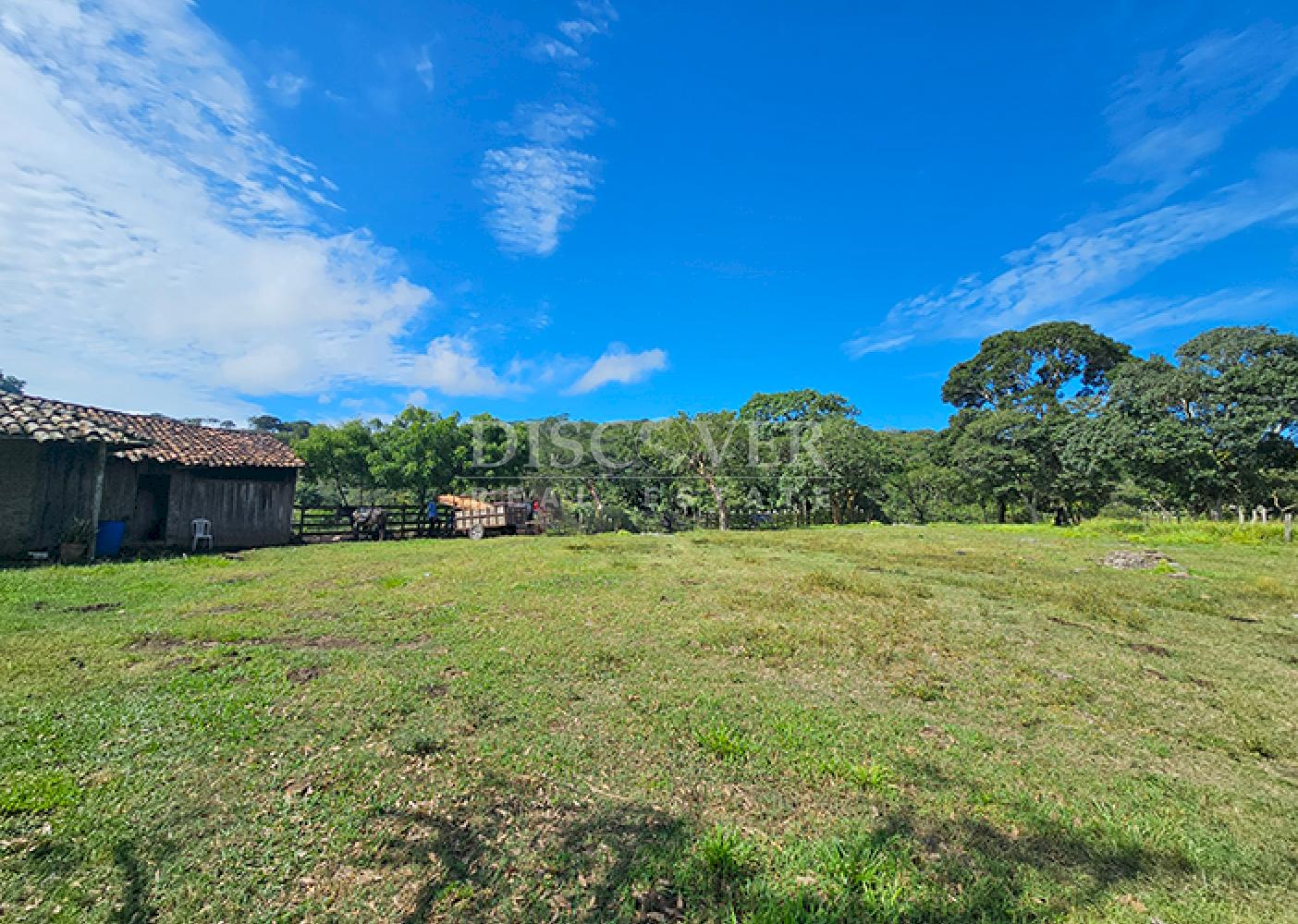  Cattle ranch for sale on Carretera Norte 