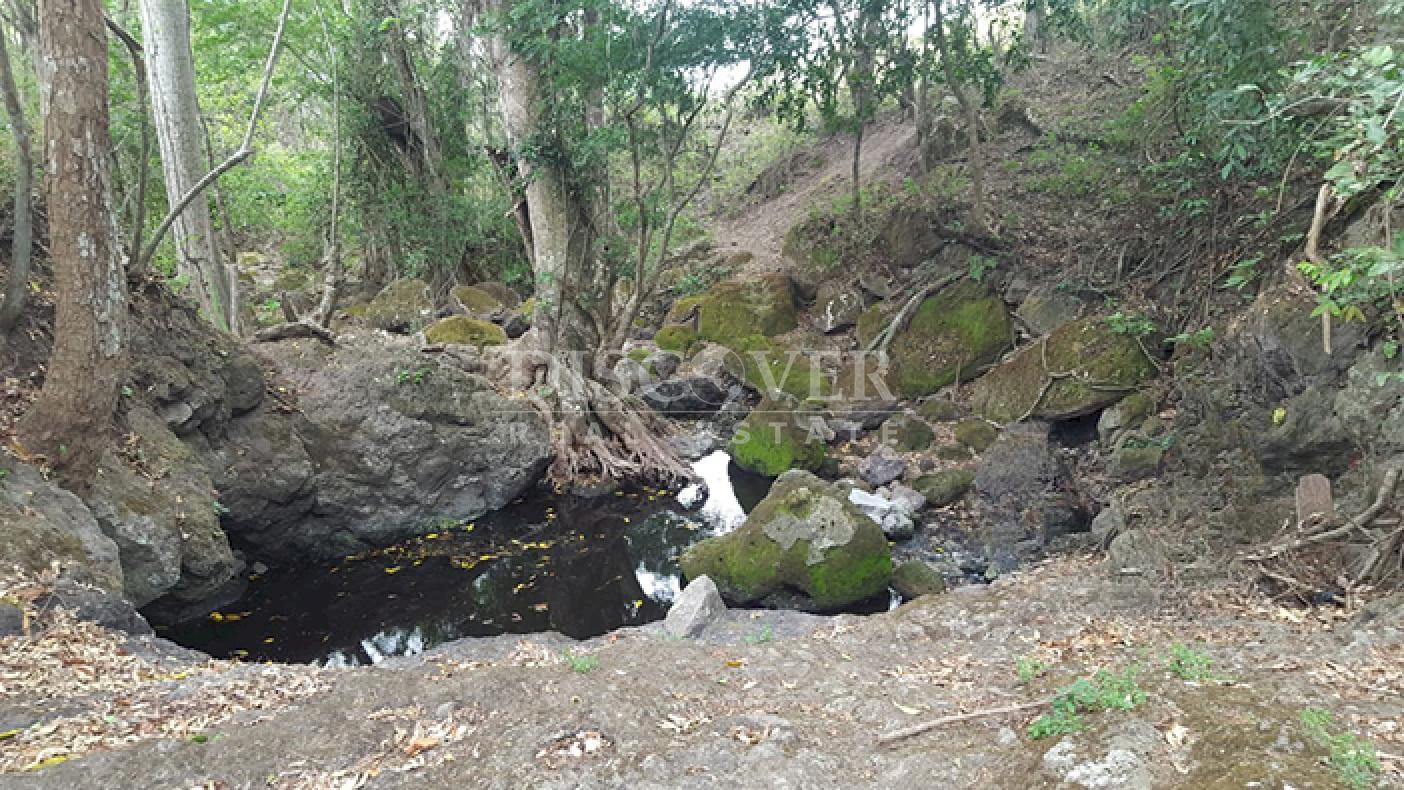  Cattle ranch for sale on Carretera Norte 