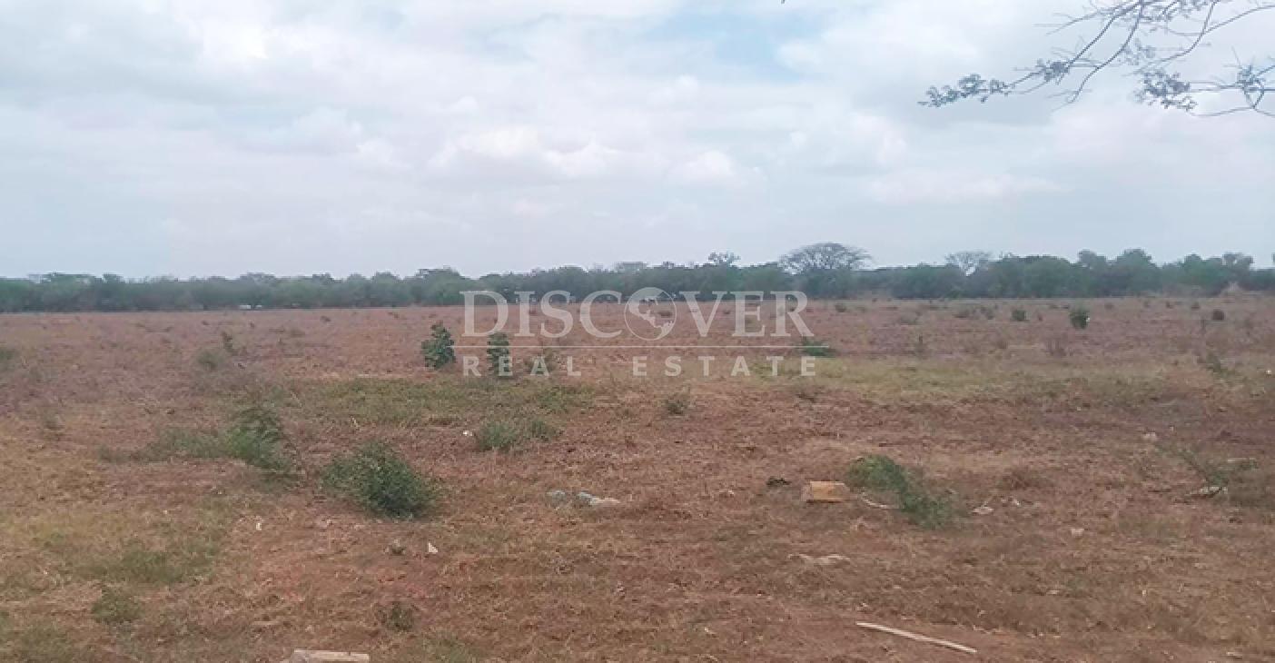  Land for sale in Pista Sabana Grande