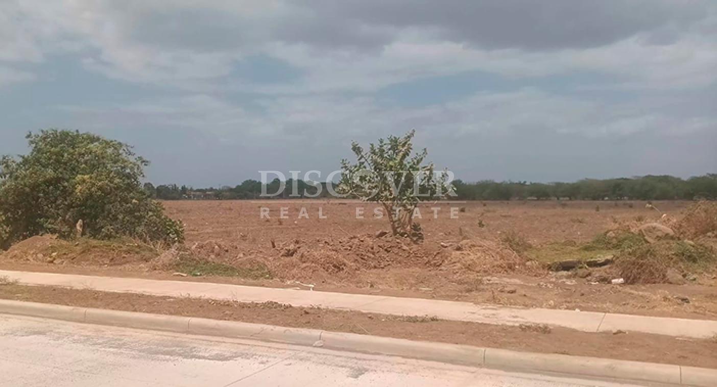  Land for sale in Pista Sabana Grande