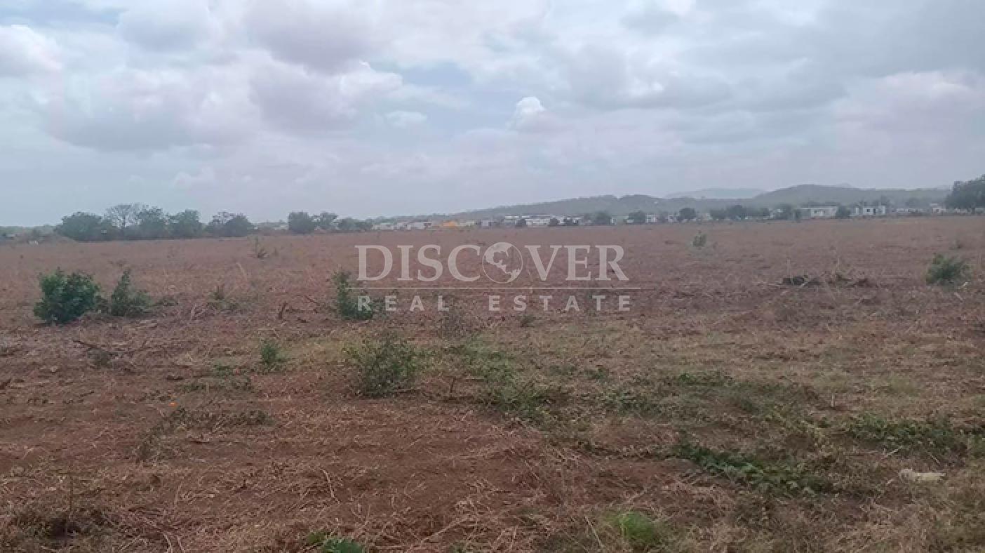  Land for sale in Pista Sabana Grande