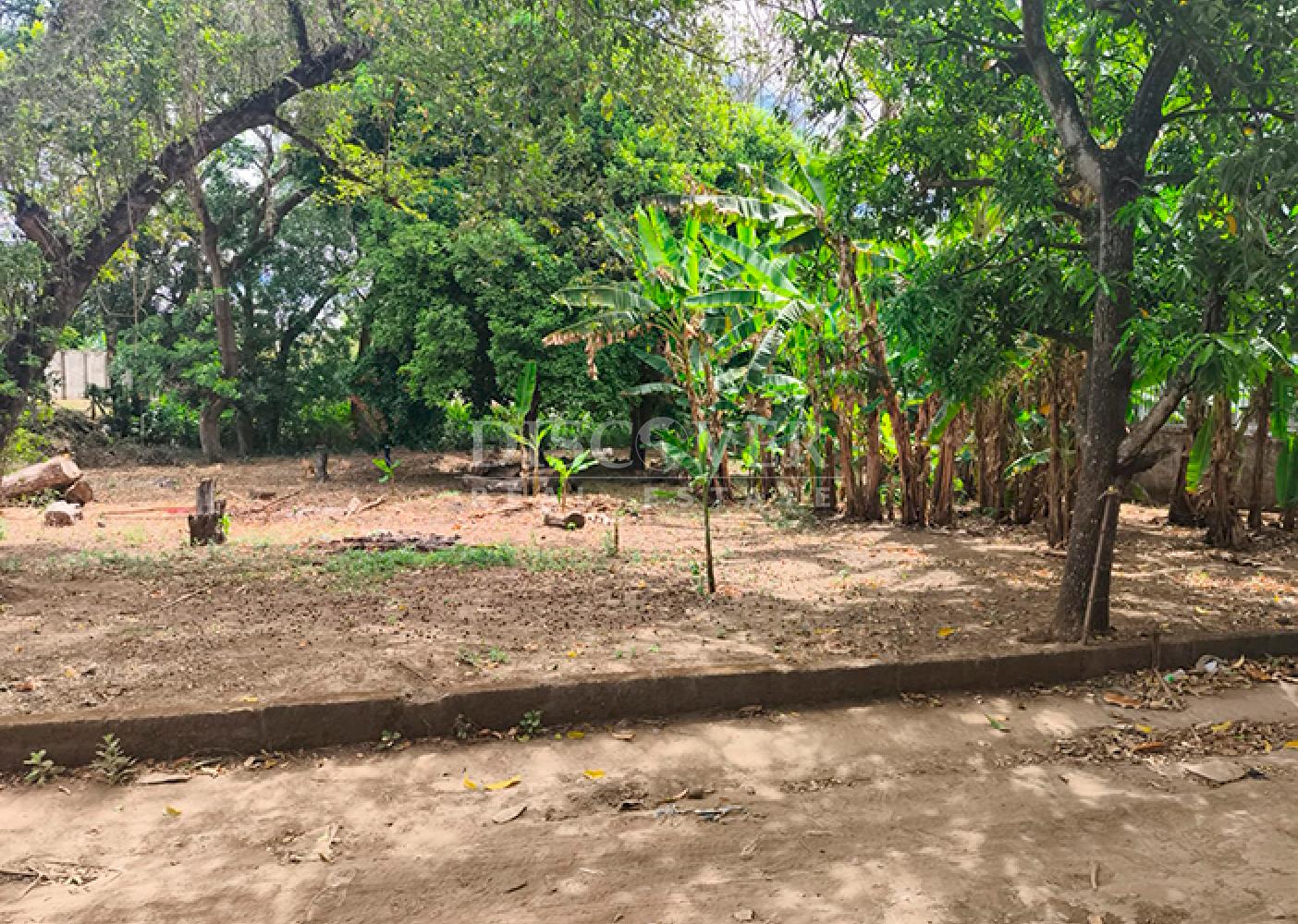 Land for sale on the Masaya Highway