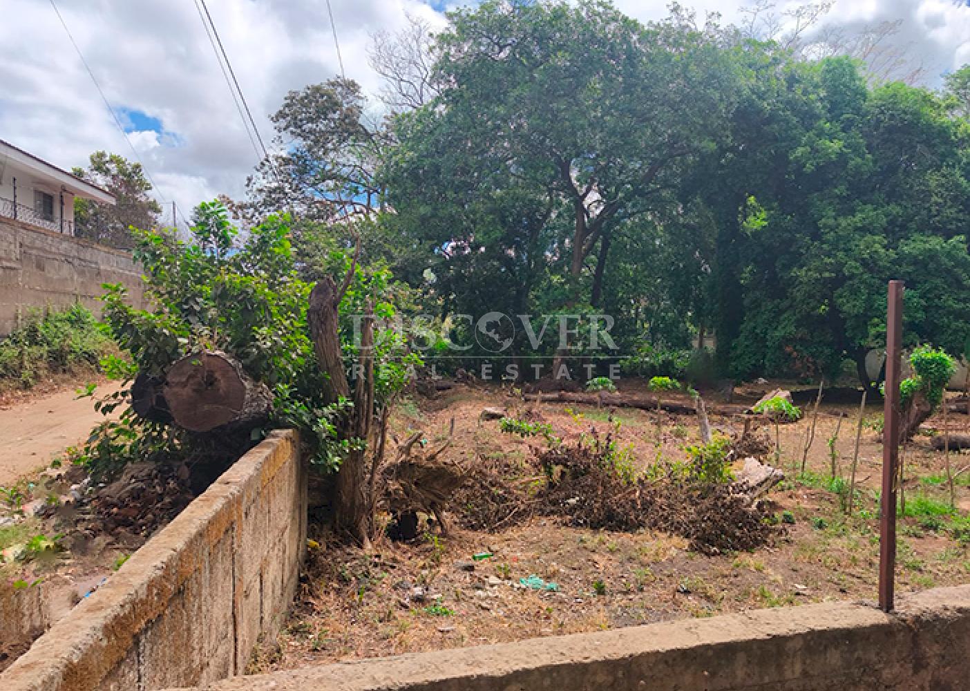 Land for sale on the Masaya Highway