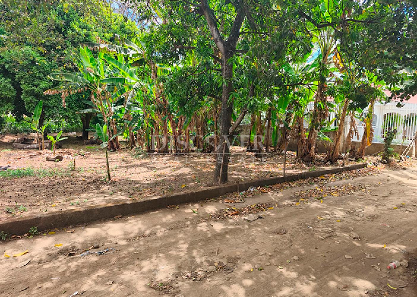 Land for sale on the Masaya Highway