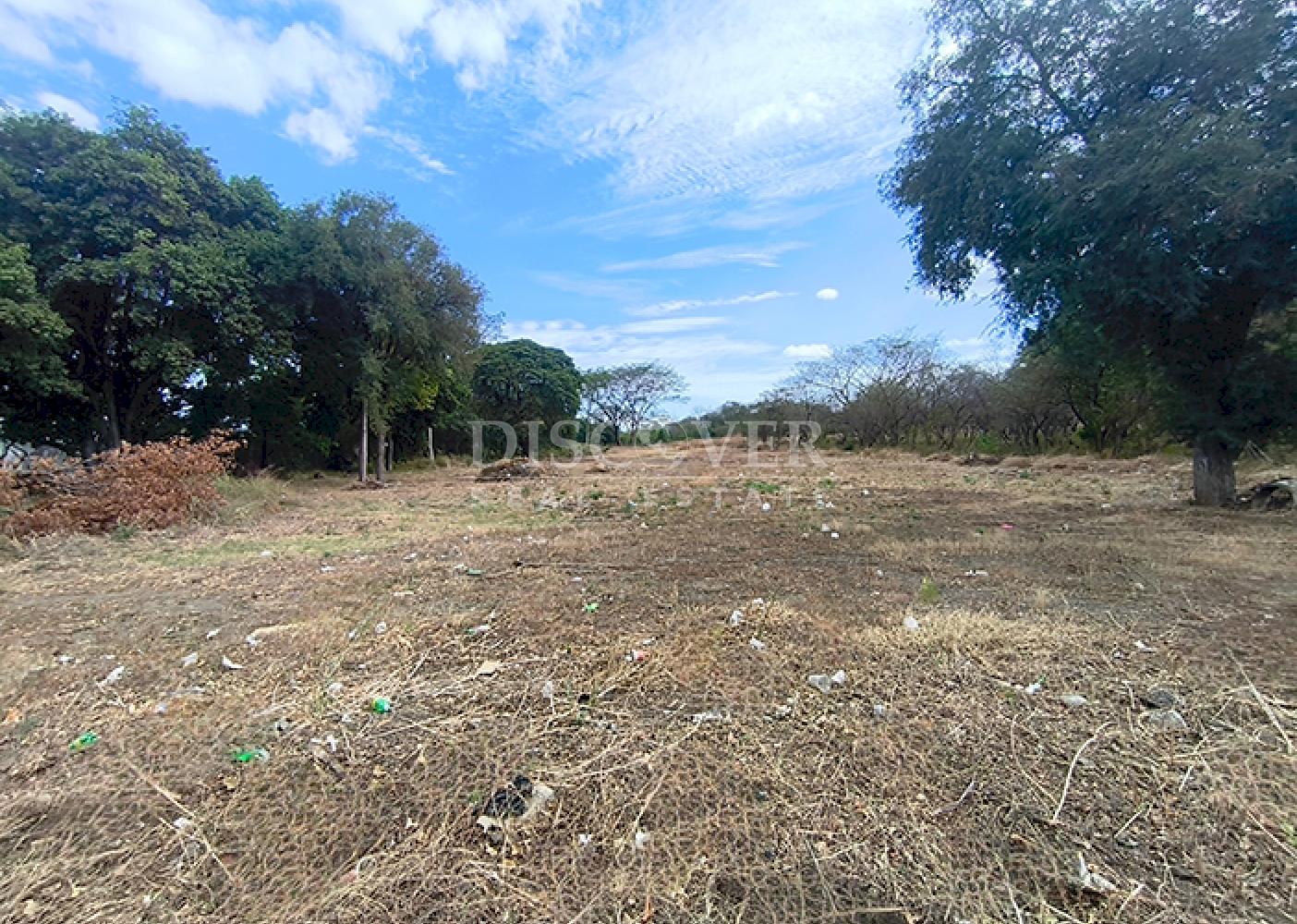  Land for Rent in El Mayoreo