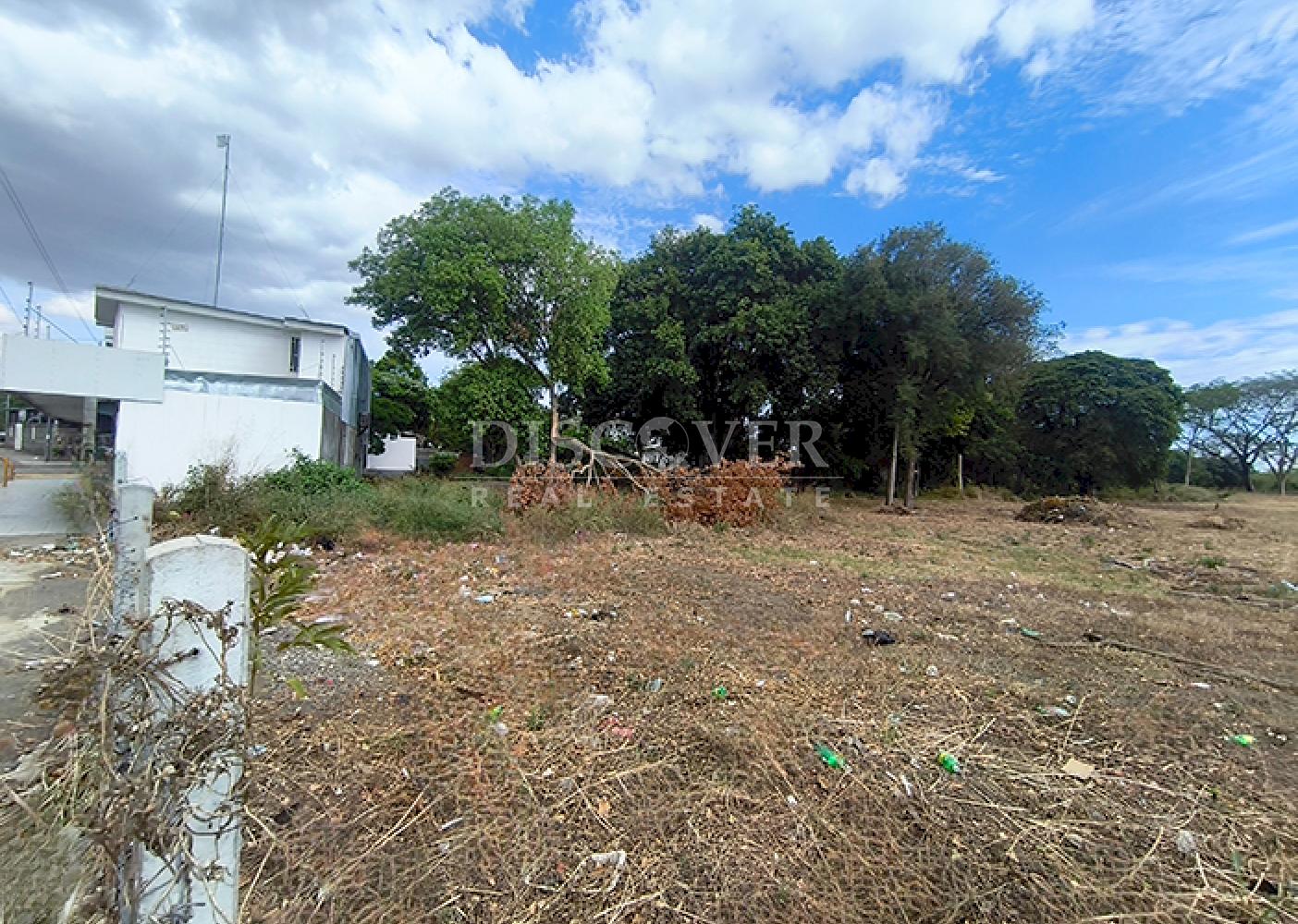 Land for Rent in El Mayoreo