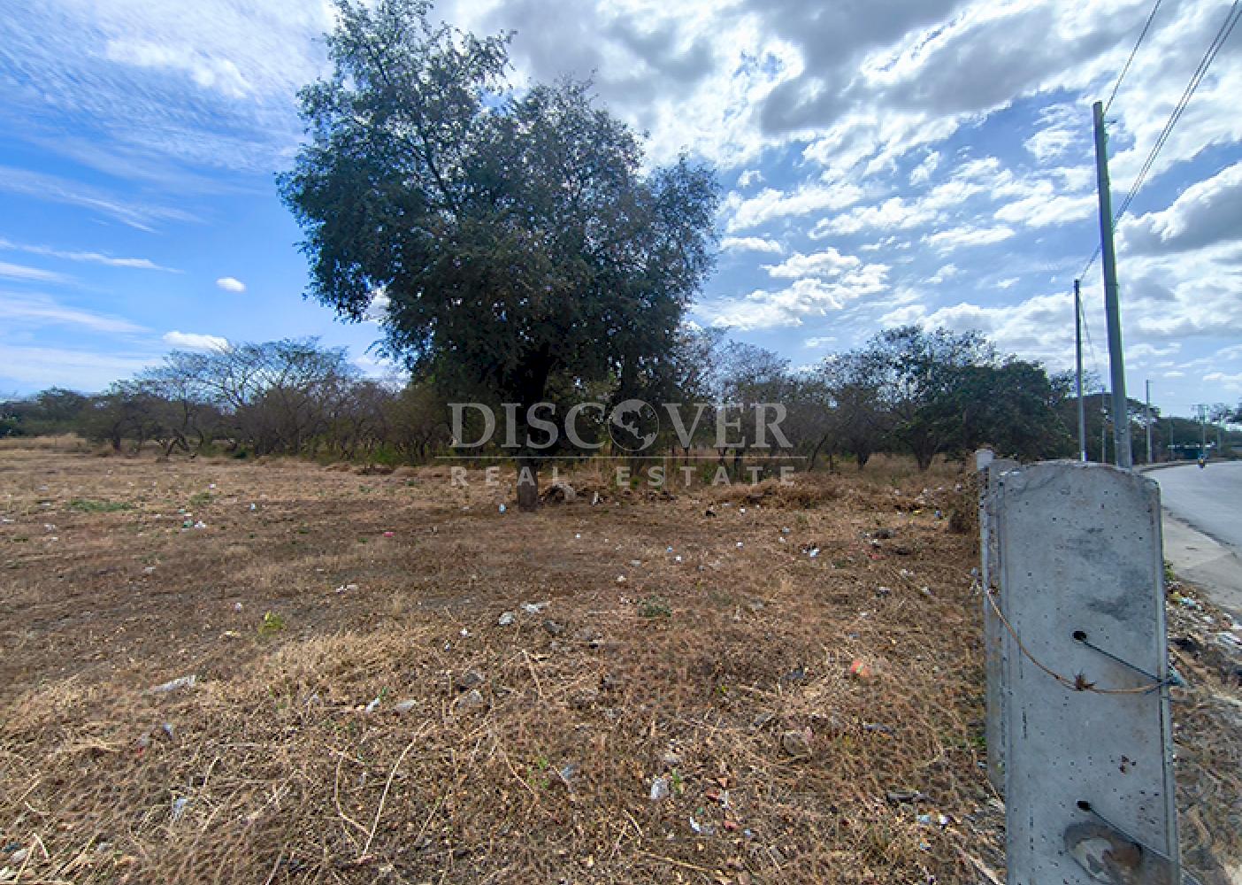  Land for Rent in El Mayoreo