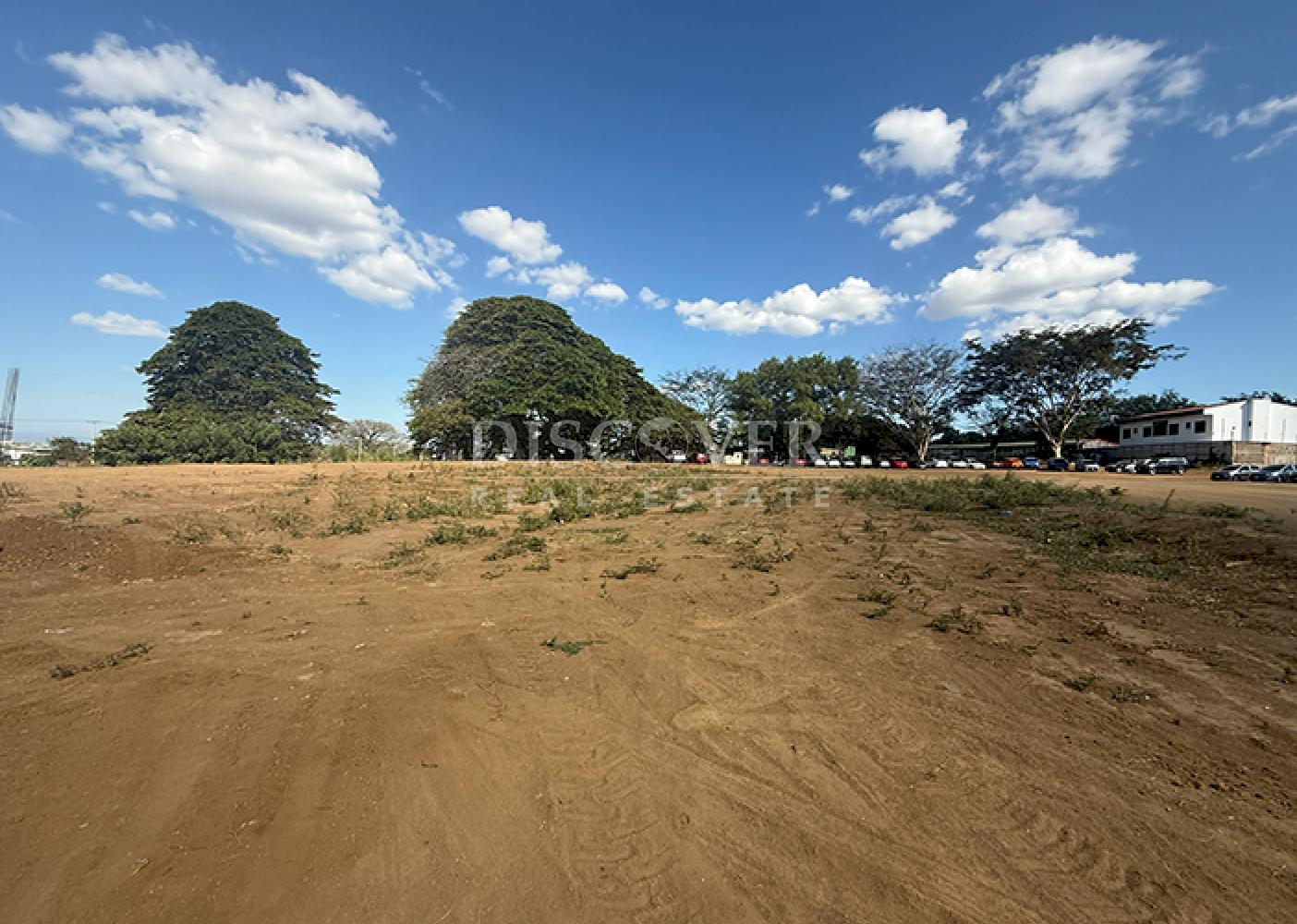  Flat land for rent on Camino de Oriente