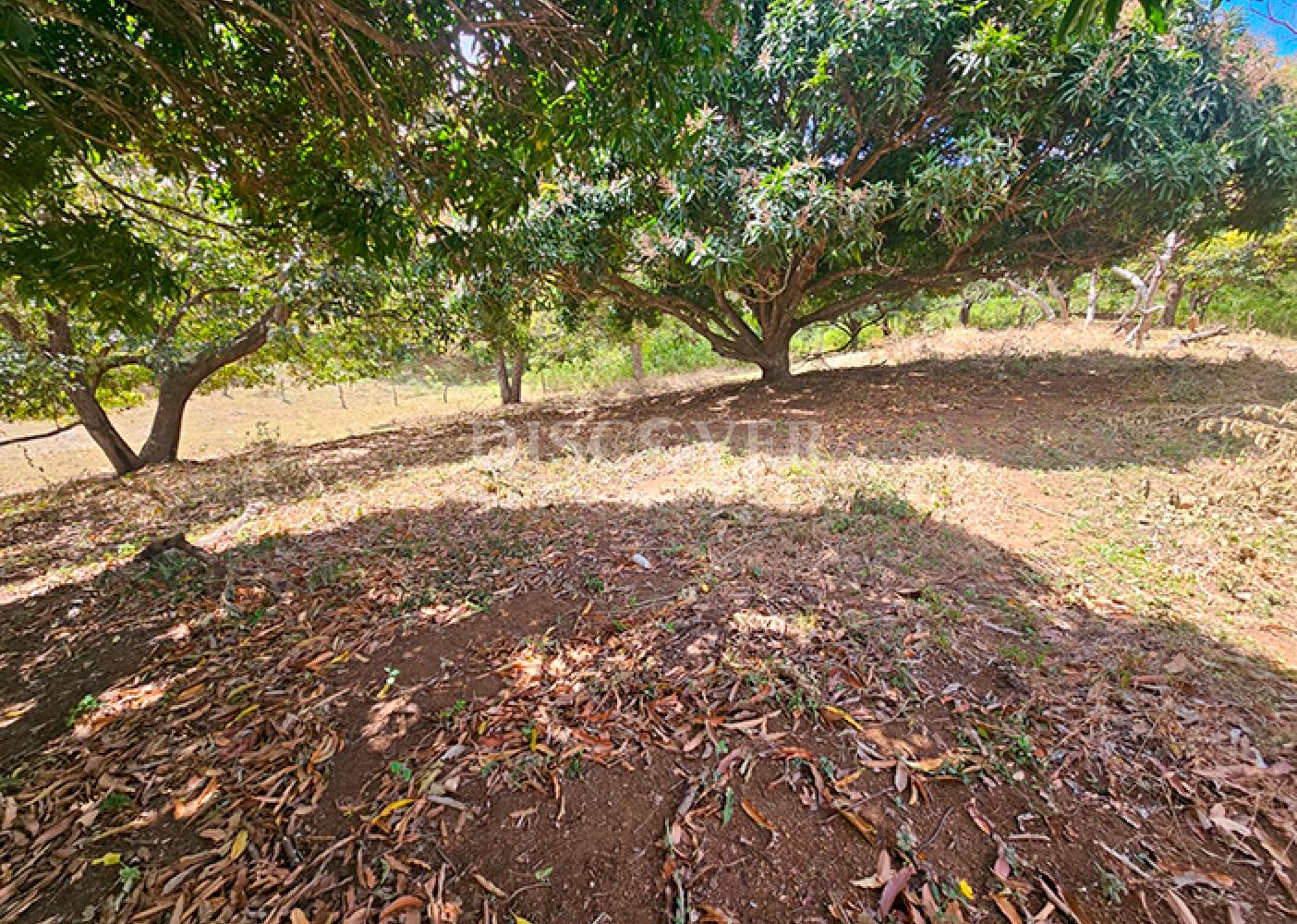  Flat land for sale in Santo Domingo