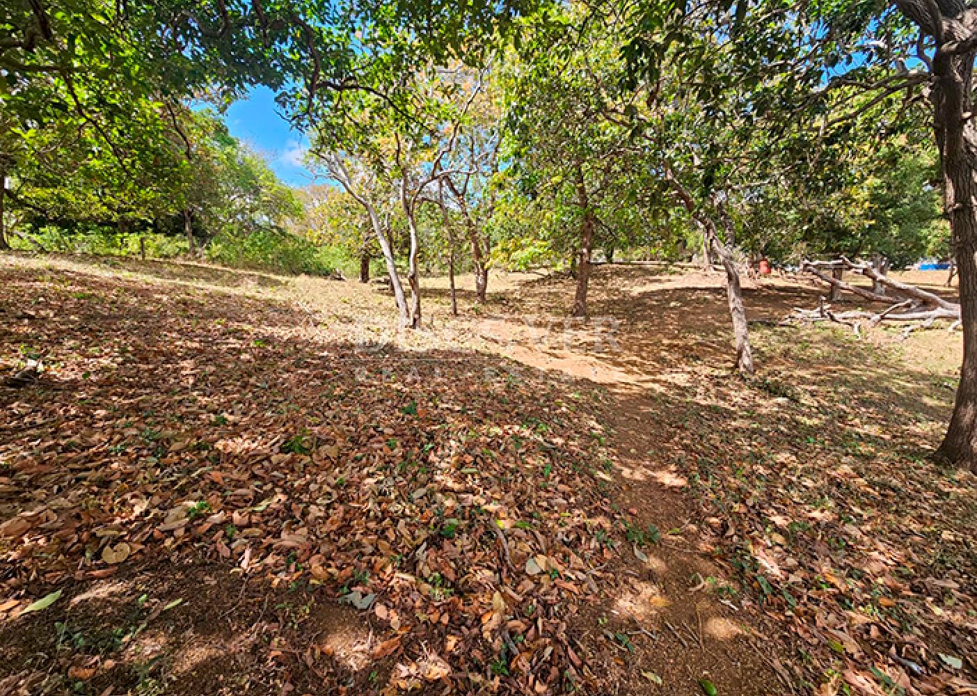  Flat land for sale in Santo Domingo