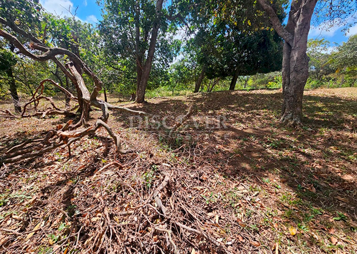  Flat land for sale in Santo Domingo