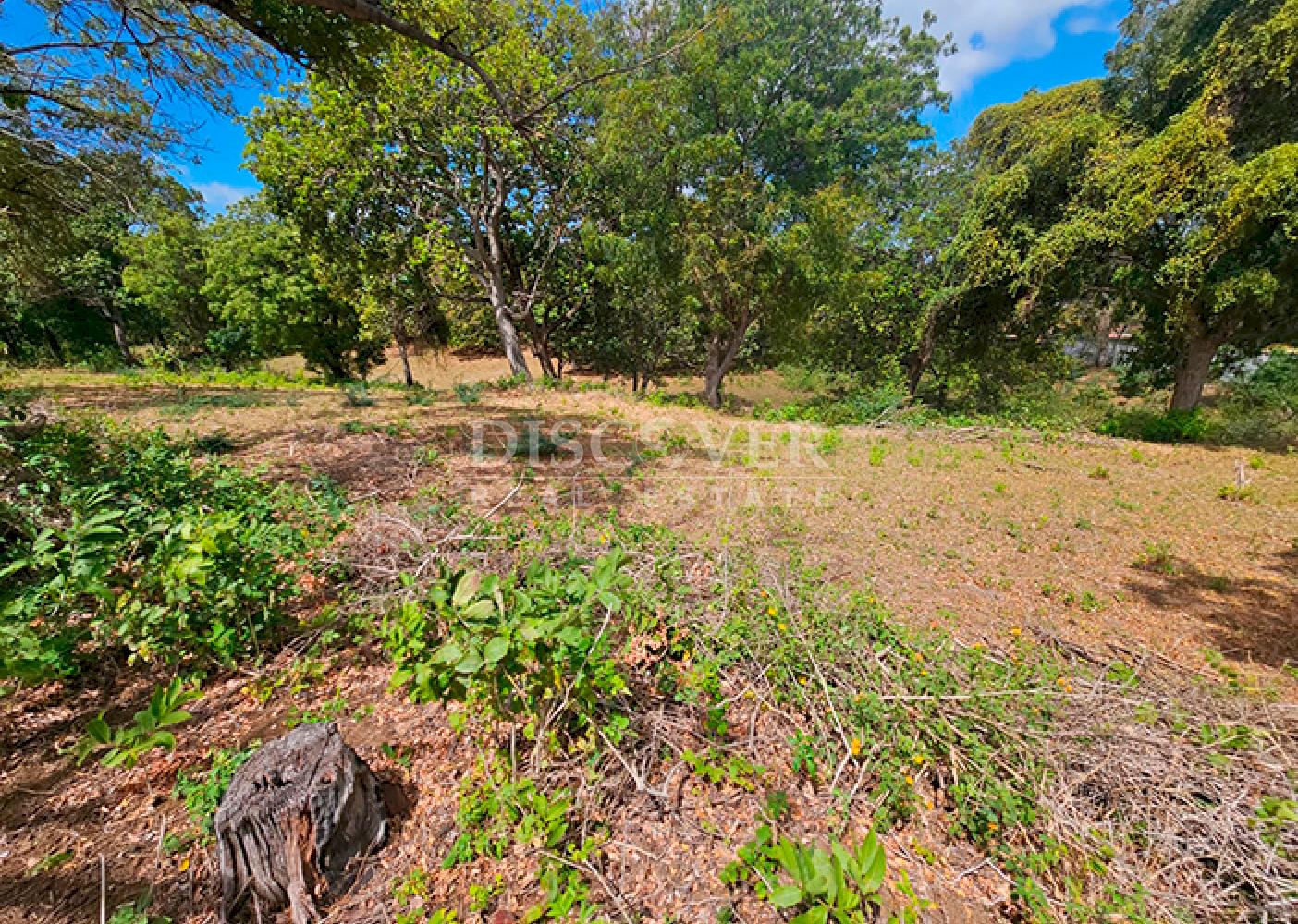  Flat land for sale in Santo Domingo