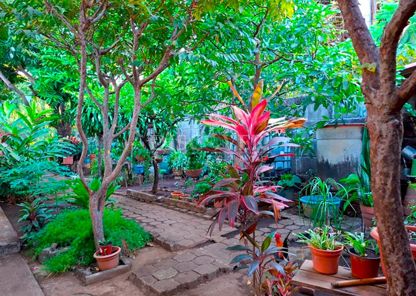 Contemporary-style house for sale or rent on Carretera Sur