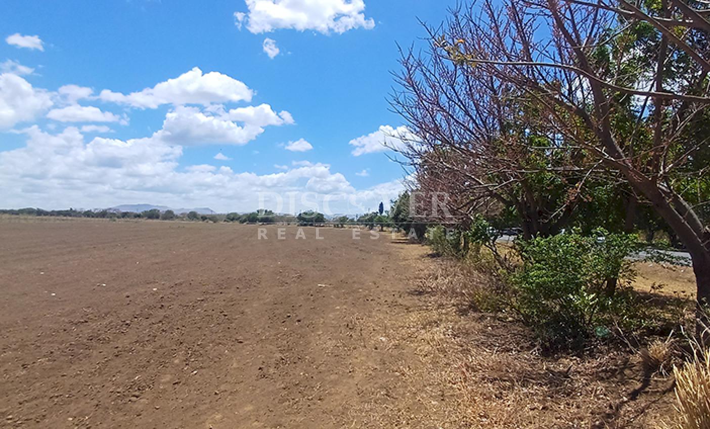 Land for sale, ideal for industrial development in Sabana Grande