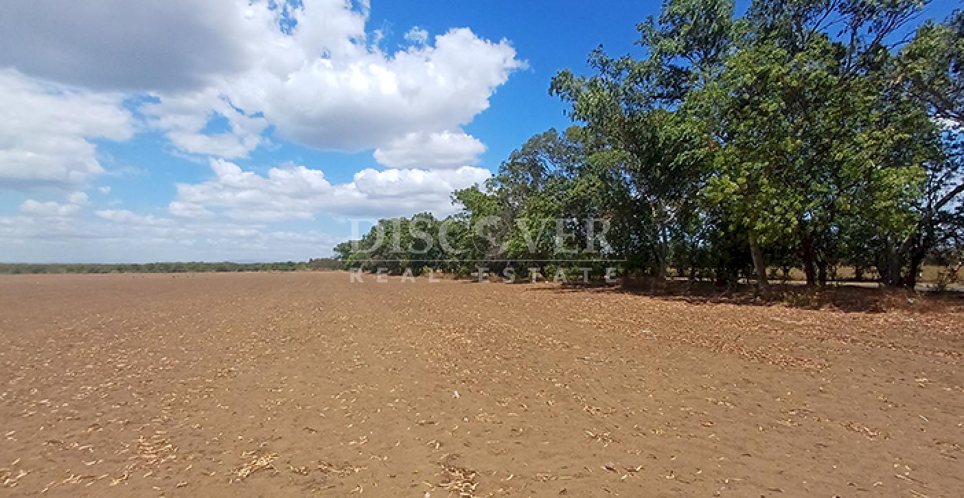 High-value land for sale in Sabana Grande