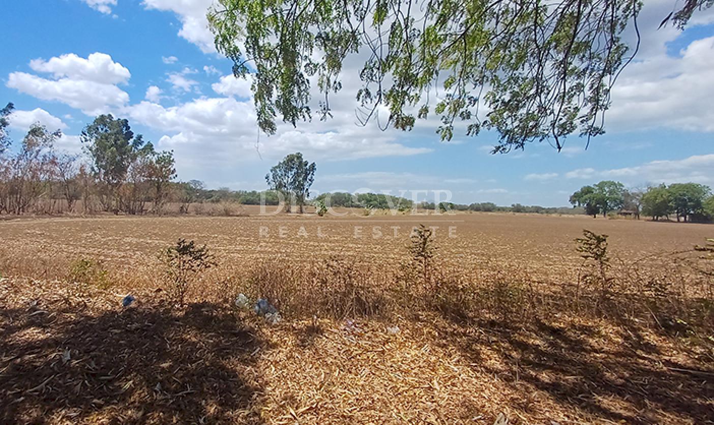 High-value land for sale in Sabana Grande